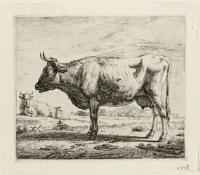 Two Cows and a Sheep