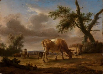 Grazing Cattle and Sheep