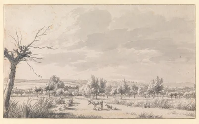 Wide Landscape with Cattle