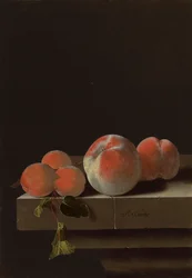 Peaches and Apricots on a Stone Ledge