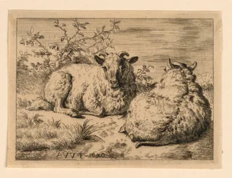 The Two Sheep