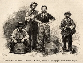 Before the sheep trade, all the staff of the farm were employed on this spot, boy, servant, under the supervision of the shepherd, milk was collected in the seilles (metal vase etame), engraving after a drawing by A. Marie, illustrating a journey to Roquef