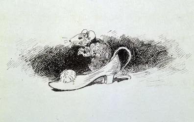 Cinderella - in 