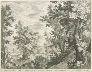 Forest Landscape
