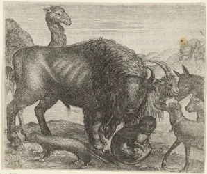 Fable of the Bison and Other Animals