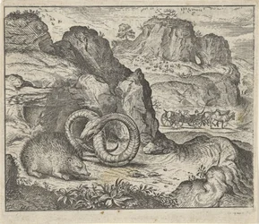 Fable of the hedgehog and the snake
