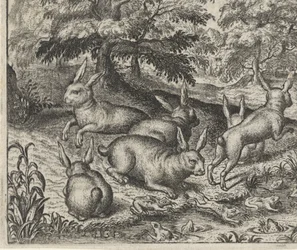 Fable of the Hares and the Frogs