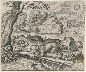 Fable of the Dog and Its Reflection