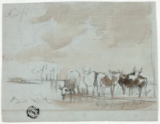 Cattle in Water
