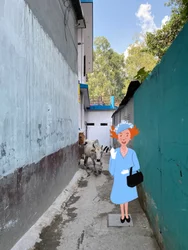 Queen, 2023