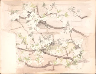 Sketchbook. July 1899 - June 1901