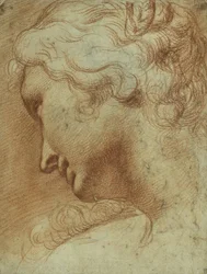 Head of a Young Woman Looking Down Over Her Right Shoulder