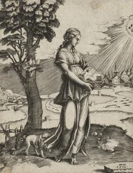 The Cumaean Sybil, 1516