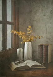 Open Book Window Light