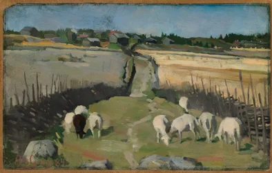Landscape with Sheep