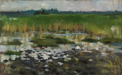 The Rushes