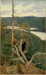 The Great Black Woodpecker