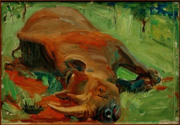 Slain Rhinoceros