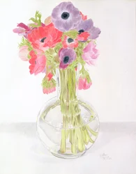 Anemonies, 1982