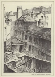 Last of Snatchers Island