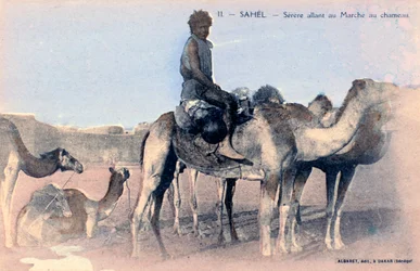 Serere, the Sahel, Senegal