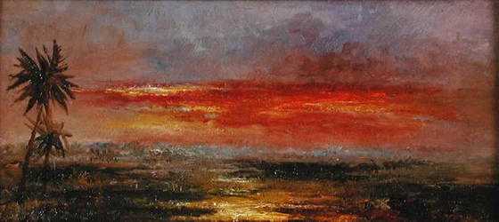 A Tropical Sunset