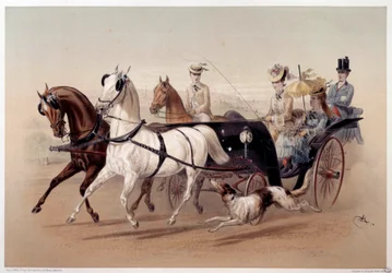 A Victoria Car and the horses of Tarbes Print by Albert Adam (1833-?) 19th century Paris, Musee Carnavalet