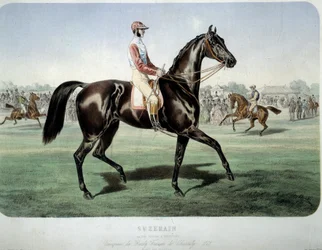 Suzerain, Winner of the Chantilly Derby in 1868