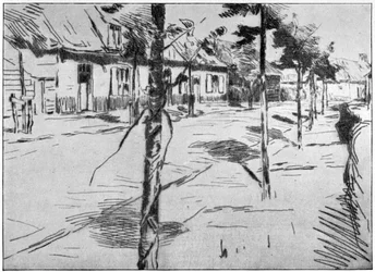 The Zeeland Road