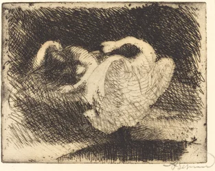 Leda Sleeping