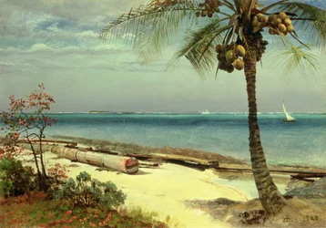 Unknown Image