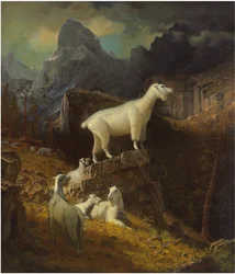 Unknown Image
