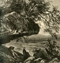 Maryland Heights