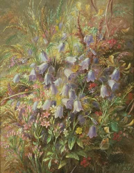 Harebells and Other Woodland Flowers and Grasses