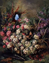 Butterfly in the Heather