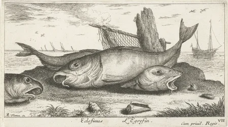 Three Haddocks on the Beach