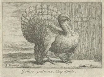 Landscape with Turkey (title on object) (series title)