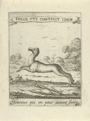 Jumping Deer