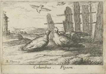 Two Doves by a Fence
