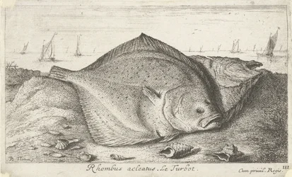 Two Turbots on the Beach