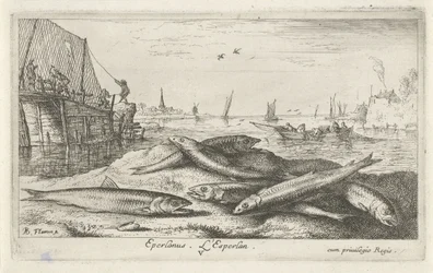 Six Smelts on the Beach (series title: Fish and Other Sea Creatures - Saltwater Second Series)