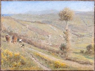 Berryharbour Valley, N. Devon