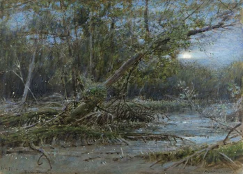 Fireflies, Demerera, c.1902