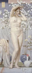 A Venus