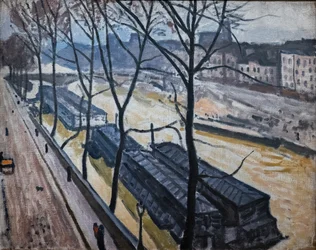Paris in Winter. Quai Bourbon