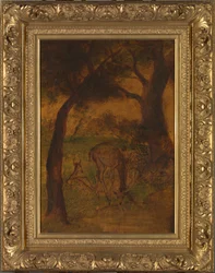A Stag Drinking