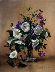 Convolvulus and Sweet Peas in Glass Vase
