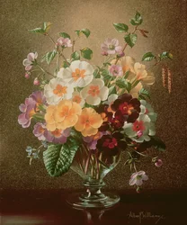 Unknown Image