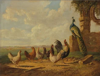 Chickens and Peacock in a Landscape