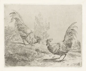 Two Fighting Roosters